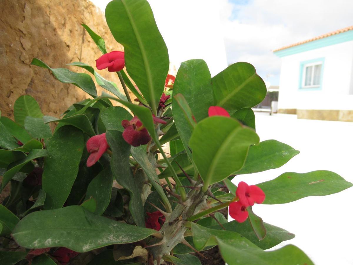 Nautico Boutique Apartments, By Comfortable Luxury - Adults Only Corralejo Bagian luar foto