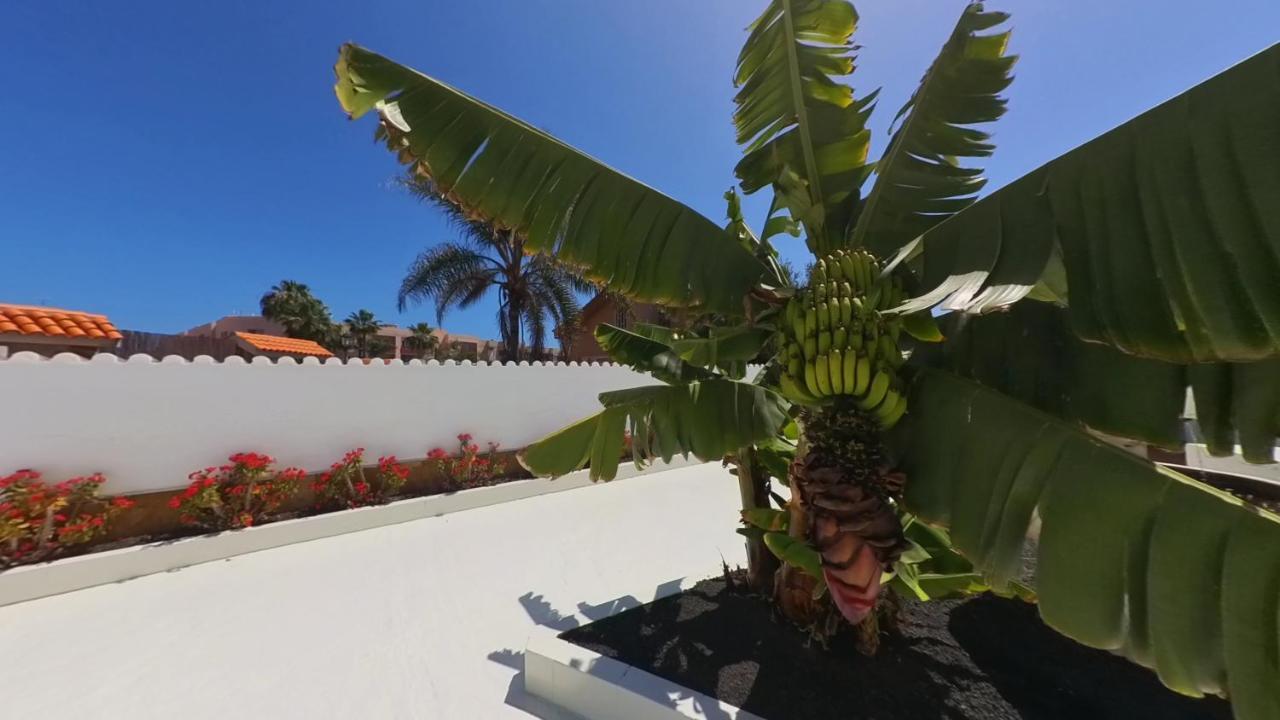 Nautico Boutique Apartments, By Comfortable Luxury - Adults Only Corralejo Bagian luar foto